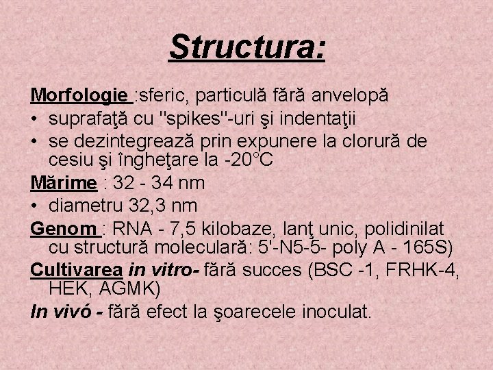 Structura: Morfologie : sferic, particulă fără anvelopă • suprafaţă cu "spikes"-uri şi indentaţii •