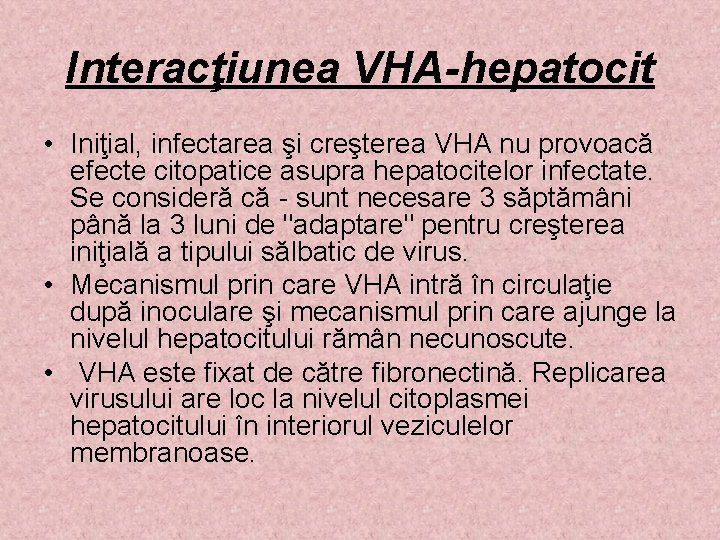 Interacţiunea VHA-hepatocit • Iniţial, infectarea şi creşterea VHA nu provoacă efecte citopatice asupra hepatocitelor