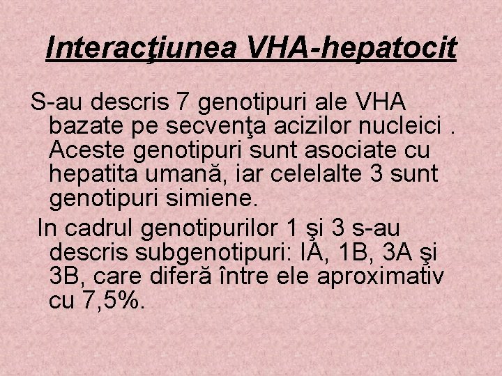 Interacţiunea VHA-hepatocit S-au descris 7 genotipuri ale VHA bazate pe secvenţa acizilor nucleici. Aceste