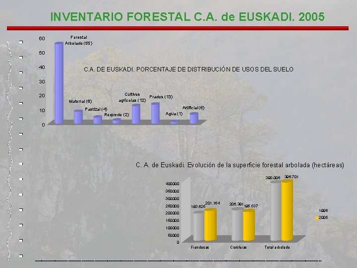 INVENTARIO FORESTAL C. A. de EUSKADI. 2005 60 Forestal Arbolado (55) 50 40 C. INVENTARIO FORESTAL C. A. de EUSKADI. 2005 60 Forestal Arbolado (55) 50 40 C.