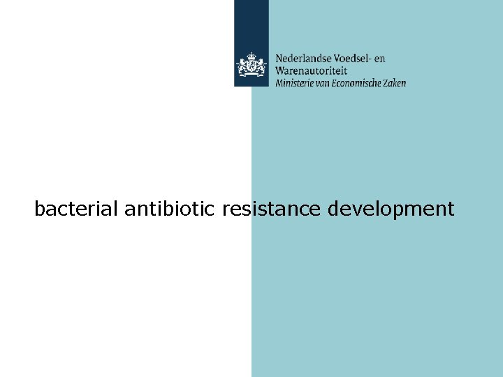 bacterial antibiotic resistance development 