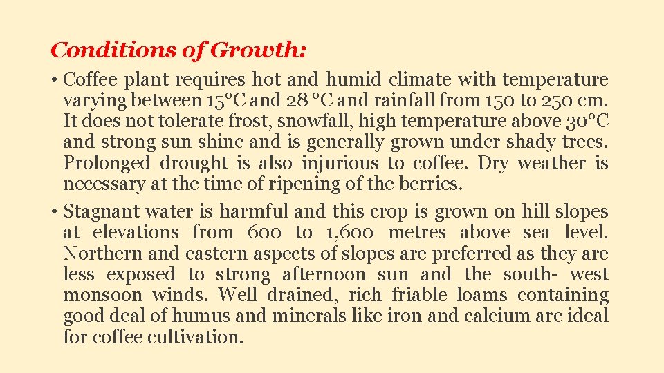 Conditions of Growth: • Coffee plant requires hot and humid climate with temperature varying