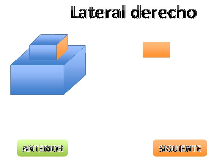 Lateral derecho ANTERIOR SIGUIENTE 