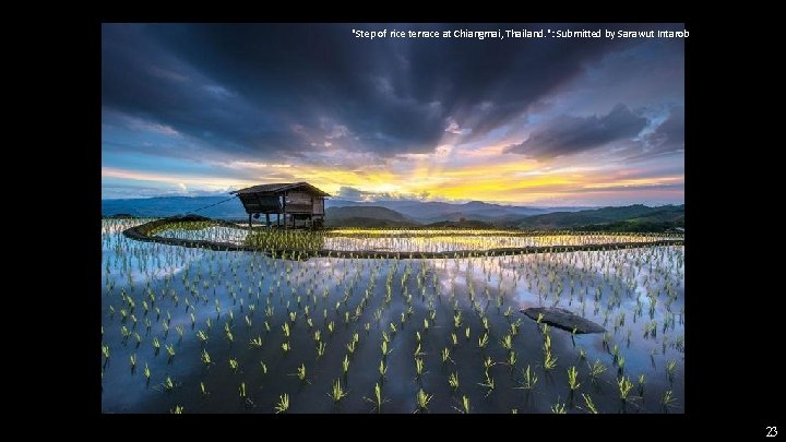 "Step of rice terrace at Chiangmai, Thailand. ": Submitted by Sarawut Intarob 23 