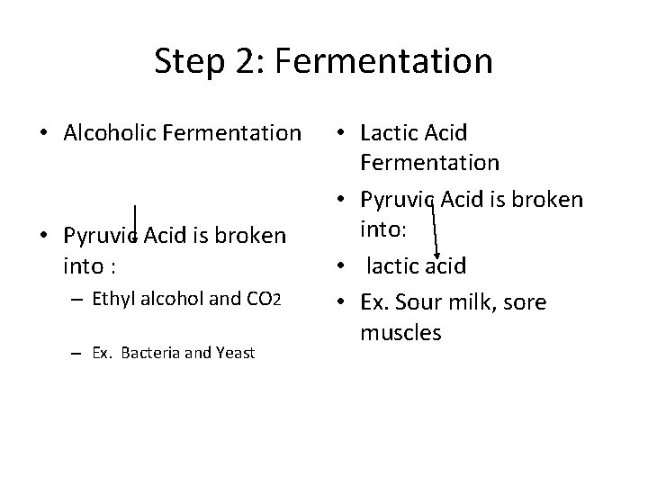 Step 2: Fermentation • Alcoholic Fermentation • Pyruvic Acid is broken into : –