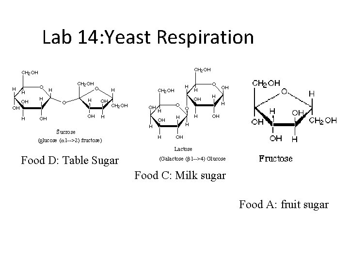 Lab 14: Yeast Respiration Food D: Table Sugar Food C: Milk sugar Food A: