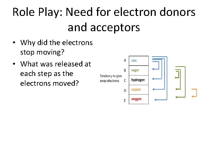 Role Play: Need for electron donors and acceptors • Why did the electrons stop