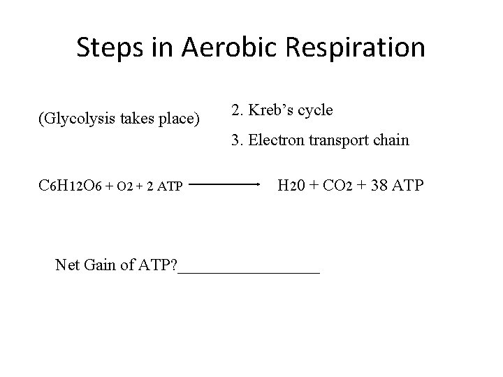 Steps in Aerobic Respiration (Glycolysis takes place) 2. Kreb’s cycle 3. Electron transport chain