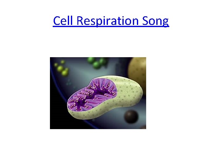 Cell Respiration Song 