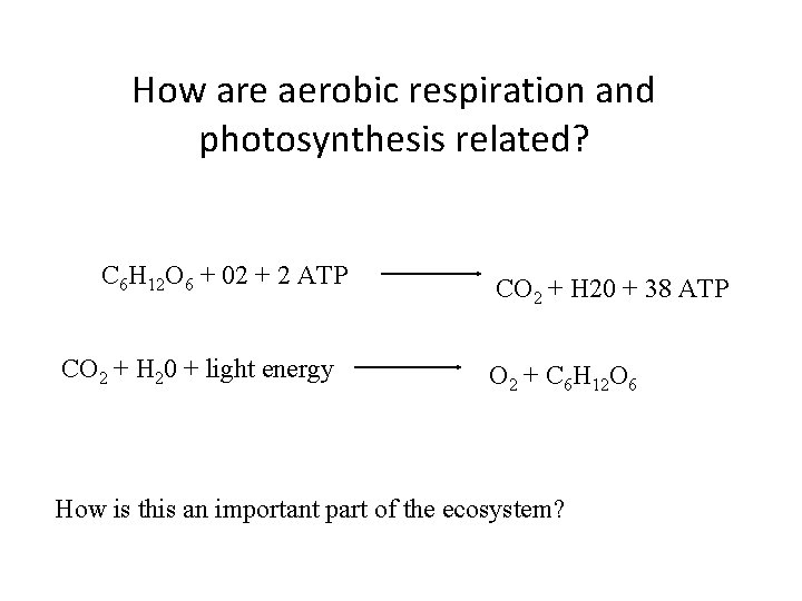 How are aerobic respiration and photosynthesis related? C 6 H 12 O 6 +