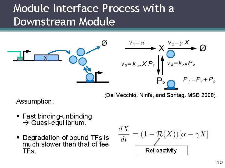 Module Interface Process with a Downstream Module X Assumption: (Del Vecchio, Ninfa, and Sontag.