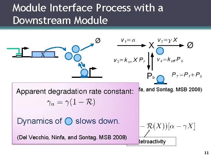 Module Interface Process with a Downstream Module X (Del Vecchio, Ninfa, and Sontag. MSB