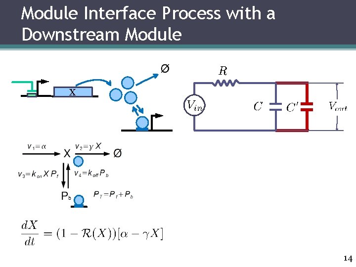 Module Interface Process with a Downstream Module X 14 