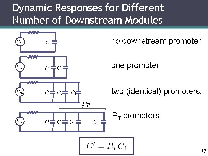 Dynamic Responses for Different Number of Downstream Modules no downstream promoter. one promoter. two