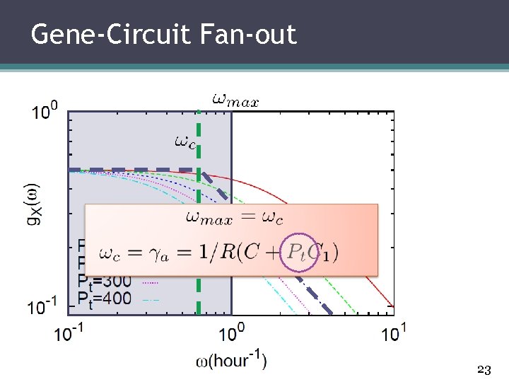 Gene-Circuit Fan-out 23 