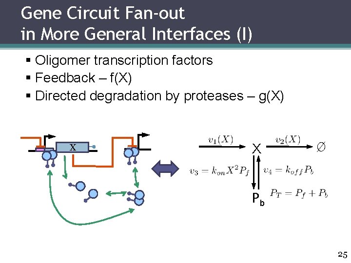 Gene Circuit Fan-out in More General Interfaces (I) § Oligomer transcription factors § Feedback