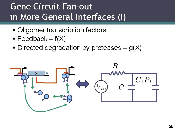 Gene Circuit Fan-out in More General Interfaces (I) § Oligomer transcription factors § Feedback