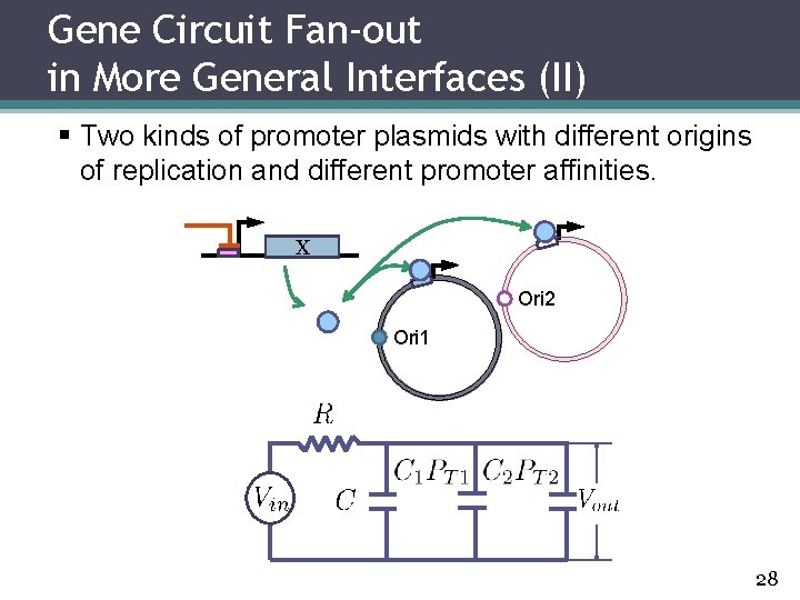 Gene Circuit Fan-out in More General Interfaces (II) § Two kinds of promoter plasmids