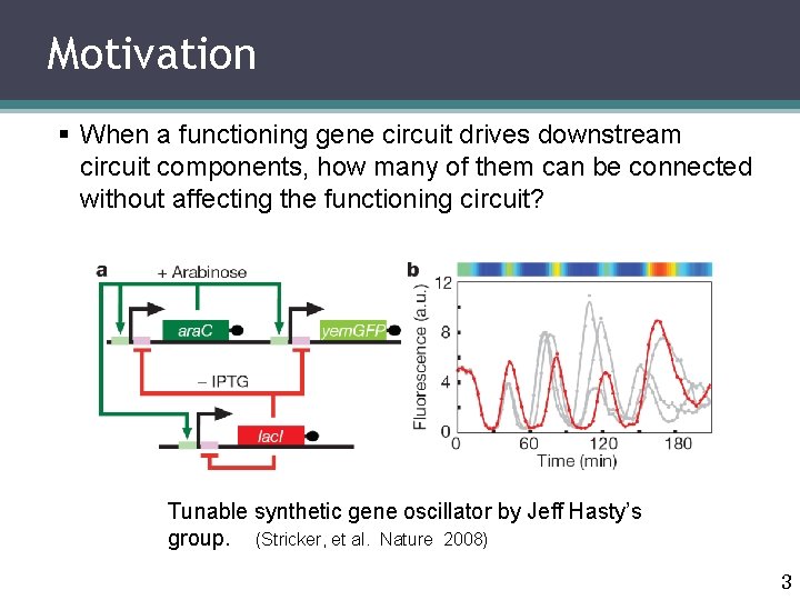 Motivation § When a functioning gene circuit drives downstream circuit components, how many of