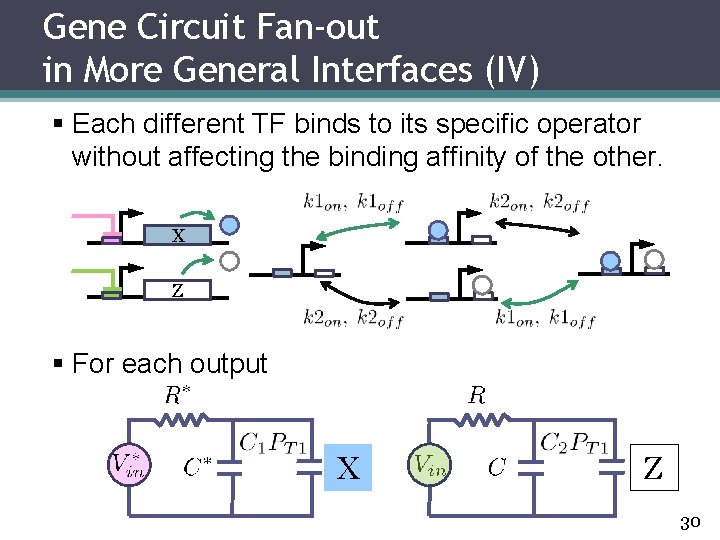 Gene Circuit Fan-out in More General Interfaces (IV) § Each different TF binds to