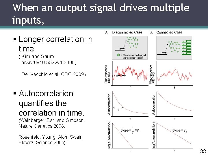 When an output signal drives multiple inputs, § Longer correlation in time. ( Kim