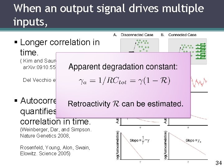 When an output signal drives multiple inputs, § Longer correlation in time. ( Kim