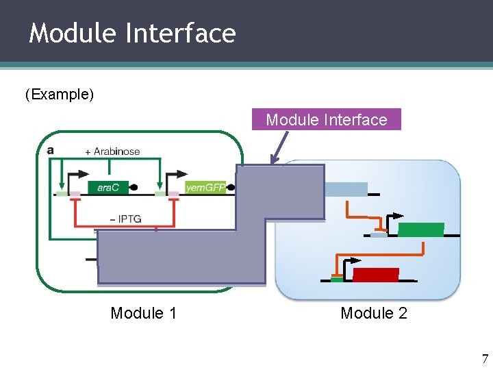 Module Interface (Example) Module Interface Module 1 Module 2 7 