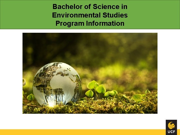 Bachelor of Science in Environmental Studies Program Information 
