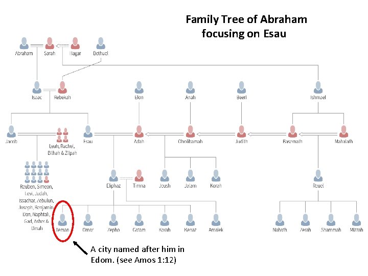 Family Tree of Abraham focusing on Esau A city named after him in Edom.