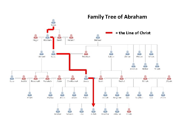 Family Tree of Abraham = the Line of Christ 