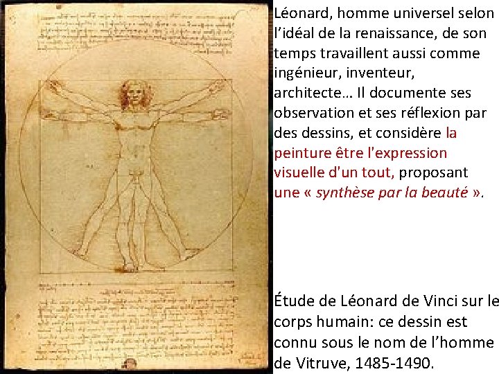 Léonard, homme universel selon l’idéal de la renaissance, de son temps travaillent aussi comme
