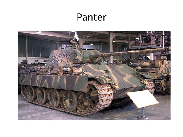 Panter 