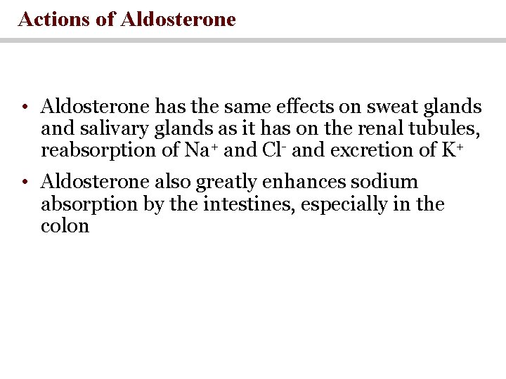 Actions of Aldosterone • Aldosterone has the same effects on sweat glands and salivary