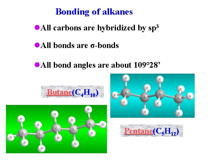 Bonding of alkanes l. All carbons are hybridized by sp 3 l. All bonds