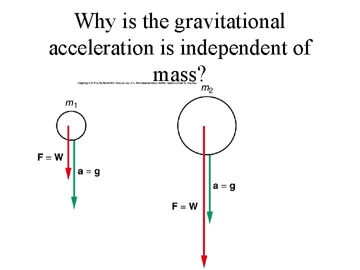 Why is the gravitational acceleration is independent of mass? 