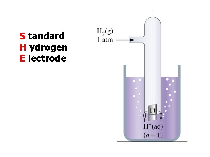 S tandard H ydrogen E lectrode 