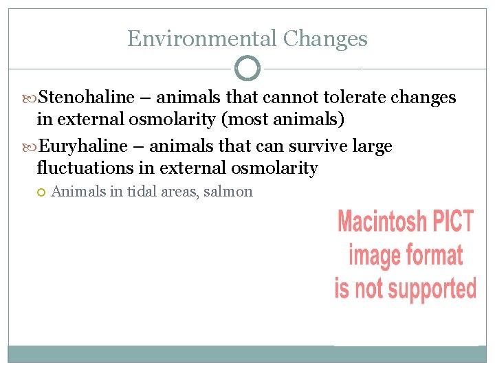 Environmental Changes Stenohaline – animals that cannot tolerate changes in external osmolarity (most animals)