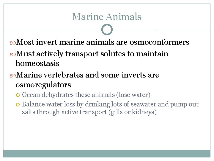 Marine Animals Most invert marine animals are osmoconformers Must actively transport solutes to maintain