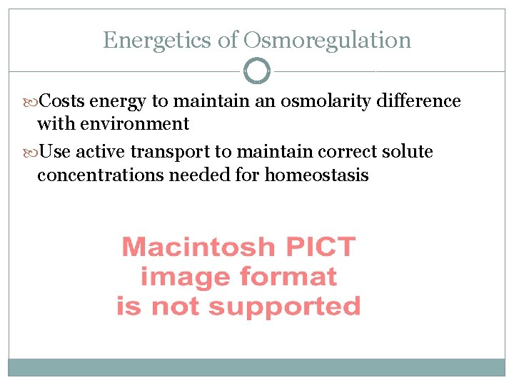 Energetics of Osmoregulation Costs energy to maintain an osmolarity difference with environment Use active