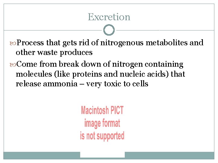 Excretion Process that gets rid of nitrogenous metabolites and other waste produces Come from