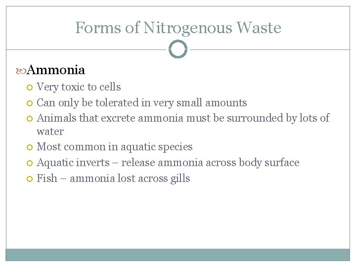 Forms of Nitrogenous Waste Ammonia Very toxic to cells Can only be tolerated in