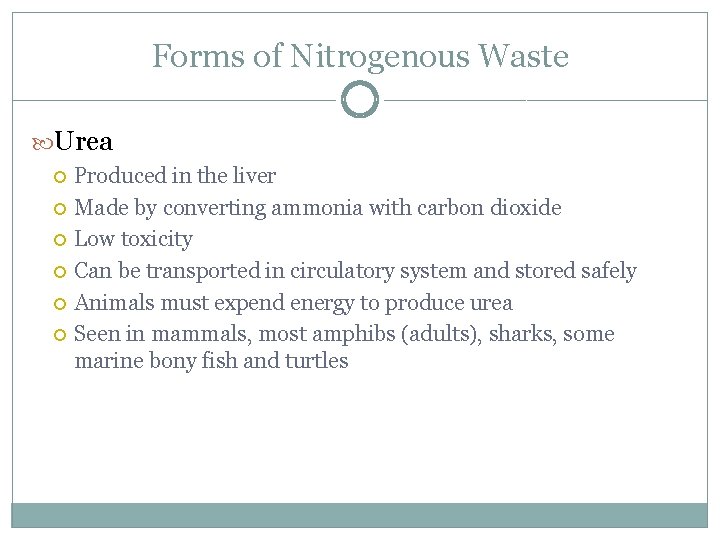 Forms of Nitrogenous Waste Urea Produced in the liver Made by converting ammonia with