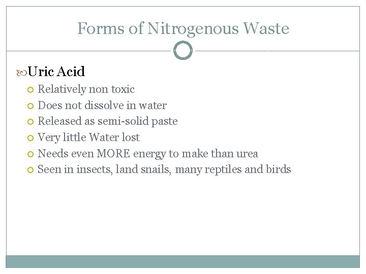 Forms of Nitrogenous Waste Uric Acid Relatively non toxic Does not dissolve in water