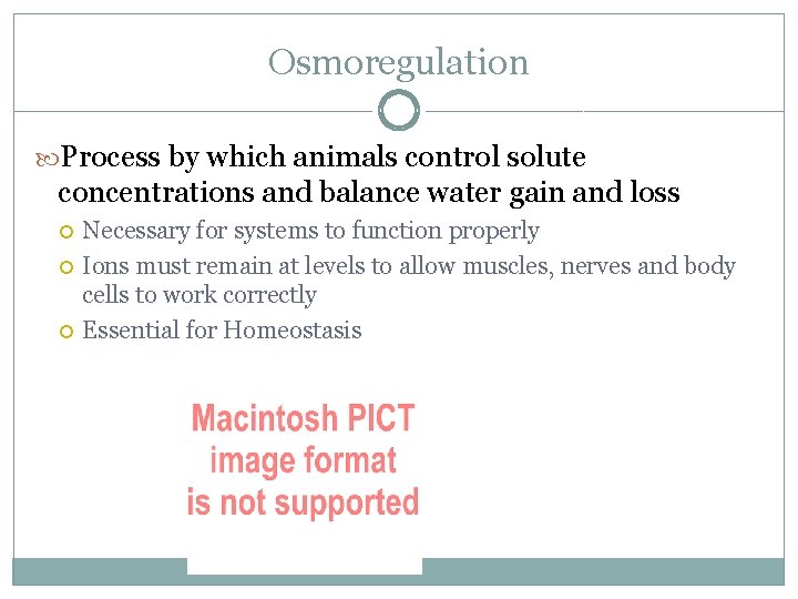 Osmoregulation Process by which animals control solute concentrations and balance water gain and loss