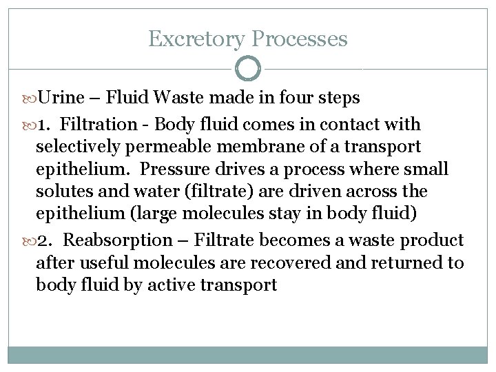 Excretory Processes Urine – Fluid Waste made in four steps 1. Filtration - Body