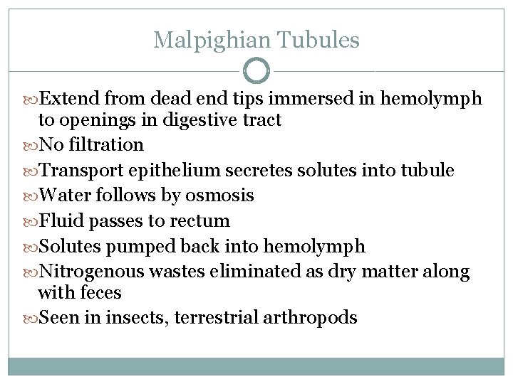 Malpighian Tubules Extend from dead end tips immersed in hemolymph to openings in digestive