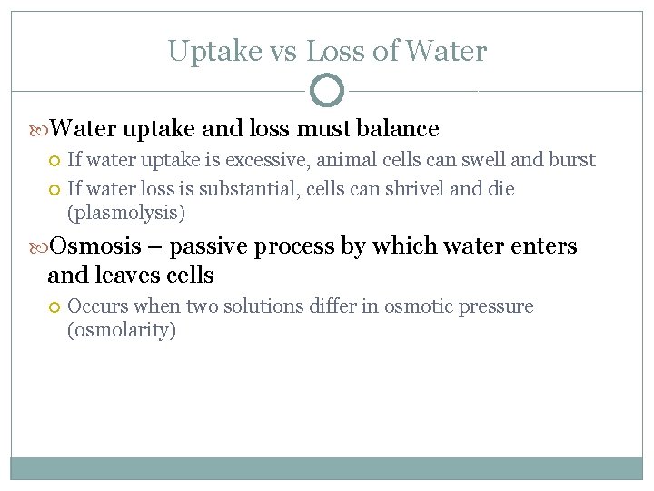 Uptake vs Loss of Water uptake and loss must balance If water uptake is