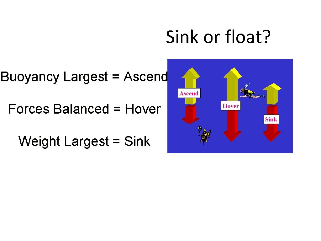 Sink or float? Buoyancy Largest = Ascend Forces Balanced = Hover Weight Largest =