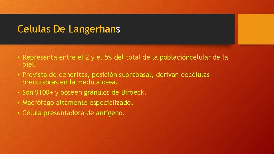 Celulas De Langerhans • Representa entre el 2 y el 5% del total de