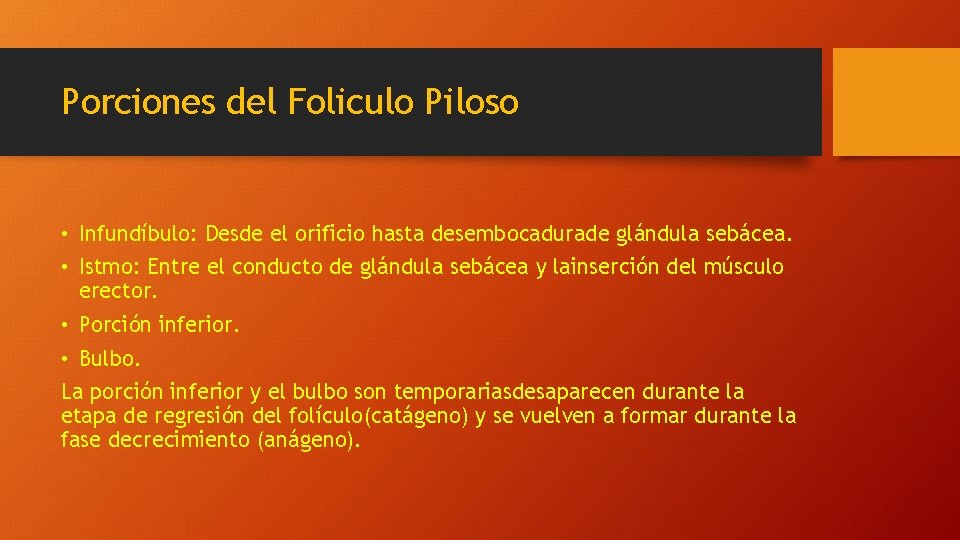 Porciones del Foliculo Piloso • Infundíbulo: Desde el orificio hasta desembocadurade glándula sebácea. •